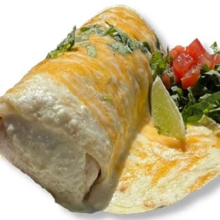 BIRRIA BURRITO